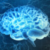 How to Identify Neurological Conditions and Choose Expert Neurologists in Ahmedabad?