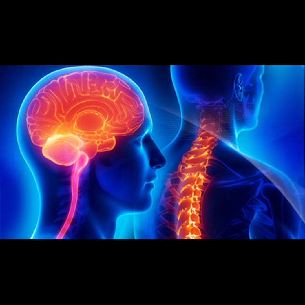 Why Choose Dr. Shailendra Solanki for Brain and Spine Care in Ahmedabad